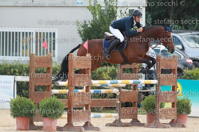 PALA_NANA_GIO CAV 2011_SS3_8240.jpg